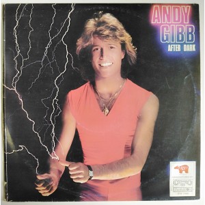 Andy Gibb ‎– After Dark