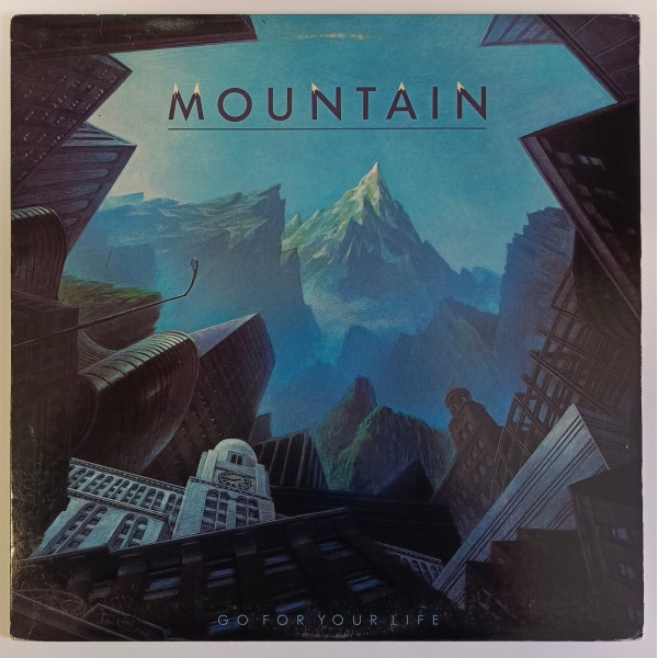 Mountain ‎- Go for Your Life